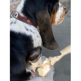 copy of TEST Collier